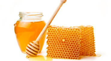 Wie man Honig als topisches Antibiotikum verwendet